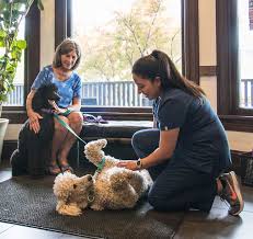 The mrna vaccines from biontech/pfizer contain polyethylene glycol (peg). Animal Hospital Chicago Veterinarian Veterinary Pet Clinic