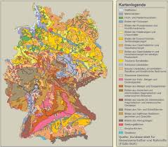 Hustle & bustle (market square) 5. Magna Germania 9 Ad Alisonensis