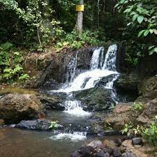 Daripada keluasan tersebut, seluas 4.89 juta hektar adalah kawasan hutan simpan kekal (hsk) yang diwartakan di bawah akta perhutanan negara (apn) 1984 dan selebihnya untuk hutan tanah kerajaan dan hutan tanah milik. Hutan Simpan Kekal Maokil