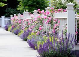 Whether your new to gardening, or a seaoned expert, you'll find plenty of inspiration. 75 Garten Ideen Bilder Dezember 2020 Houzz De