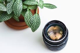 Why you want to know: Molly Margaret Photography Frequently Asked Wedding And Engagement Questions Denver Wedding Photographer