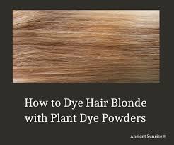 Wear a shower cap and wait for 20 minutes before washing. Full Coverage How To Dye Hair Blonde With Plant Dye Powders Ancient Sunrise