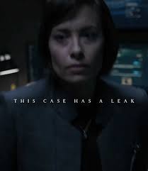 Rebecca Rillera Wilson 911