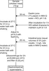 D uring the long p eri od in whic h the l a tin langua g e w as. Mg K Ca Ti V Cr Fe Ni Cu Zn Ga Ge Sciencedirect