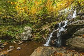 Maybe you would like to learn more about one of these? Shenandoah National Park Travel Cost Average Price Of A Vacation To Shenandoah National Park Food Meal Budget Daily Weekly Expenses Budgetyourtrip Com
