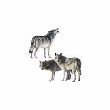 Explore and download tons of high quality wolf wallpapers all for free! Wolves Wallies Wallpaper Cutouts