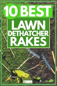 All they need is a bit of energy and they can get in a workout while making the lawn look its best. 10 Best Lawn Dethatcher Rakes Garden Tabs