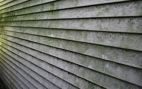 We did not find results for: Siding Cedar Dryvit Hardyplank Aluminum Vinyl By House Shampoo Inc Roof Exterior Cleaning Services In Mchenry Il Alignable
