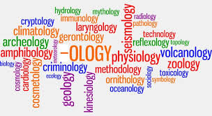 Cardiology trivia saved log out. What Is Epistemology The Study Of Trivia Questions Quizzclub
