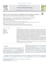 Image result for Phyllanthus mendoncae