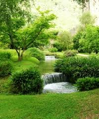 See 123 unbiased reviews of bacco verde, rated 4 of 5 on tripadvisor and ranked #169 of 678 restaurants in parma. Interno Verde Festival 2021 Due Giorni Dedicati Ai Giardini Di Parma Alla Scoperta Dei Gioielli Verdi In Citt A Parma E Dintorni