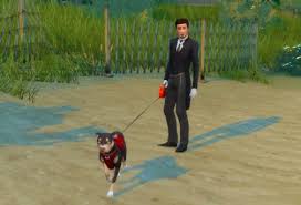 Take this quiz and test your knowledge! Best Sims 4 Cats Dogs Mods For Your Pets 2021