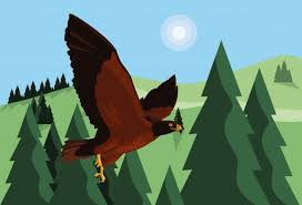 Birds Flying In The Sky Cartoon Imposing Hawk Bird Flying In The Landscape In 2020 Birds Flying Cartoon Birds Bird Illustration