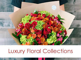 Maybe you would like to learn more about one of these? Torrance Florist Flower Delivery By Andes Florist
