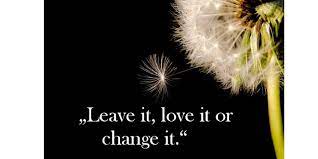 It was launched on 7 february 2006 by news magazines ltd, news international's magazine division. Leave It Love It Or Change It