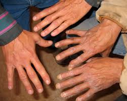 The Hands That Feed America