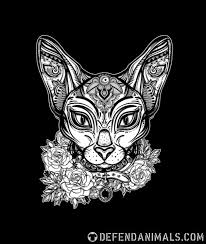Cute Cat Animal Animals Meow Catsofinstagram Catlove Kitten Cats Catlover Instacat Anarchism Kitty Catstagram Anarchi Cat Tattoo Cat Art Artwork