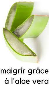 Realiser Une Recette D Aloe Vera Et Quels Sont Ses Bienfaits Comment Faire Pour Maigrir Aloe Vera Pour Maigrir