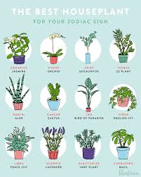 We're family owned and operated, and committed to offering only the finest floral arrangements and gifts, backed by service that is friendly and prompt. 81bh R9l5nxigm