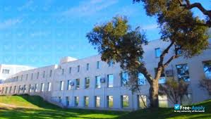 Setúbal is a city in the lisbon region of portugal, in the setubal peninsula subregion. Polytechnic Institute Of Setubal Setubal Polytechnic Institute Of Setubal Setubal Free Apply Com