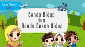 Menyatakan manusia, haiwan dan tumbuhan adalah benda hidup. Sains Tahun 1 Unit 3 Benda Hidup Dan Benda Bukan Hidup Youtube
