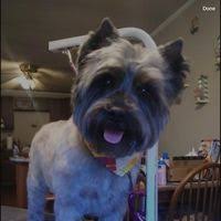 Obituary information for James Keith Ray