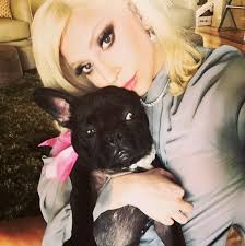A man walking lady gaga's dogs for her was shot in los angeles on wednesday night, and two of her dogs were stolen, prompting the pop star to offer a $500,000 reward for their return. Ukdpiiavagzq9m