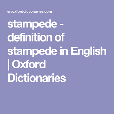 Stampede Definition Of Stampede In English Oxford Dictionaries Oxford Dictionaries Definitions English Vocabulary