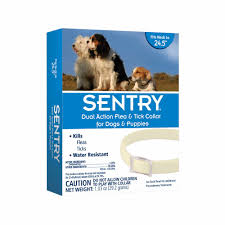 The popular seresto flea collar has been connected to the deaths of almost 1,700 pets and injuries to thousands more. The 7 Best Flea Collars For Dogs In 2021