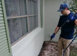 Do it yourself pest products, oviedo, florida. Termite Control Kissimmee Florida All American Pest Control Since 1999