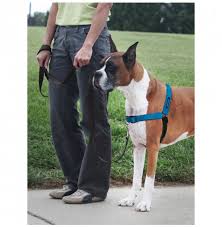 easy walk deluxe harness