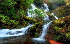 We did not find results for: Beautiful Nature Wallpapers 1080p 2k 4k 5k Hd Wallpapers Free Download Wallpaper Flare