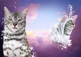 Draw out your stars using the star trail brush we just created and duplicate the layer. How To Make Stars In Photoshop