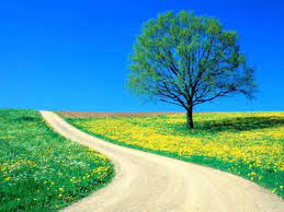 Check spelling or type a new query. Download Beautiful Nature Wallpapers For Desktop Group 80