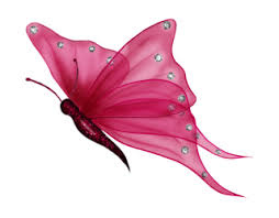 We did not find results for: Butterfly Png Butterfly Transparent Background Freeiconspng