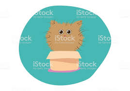 Illustrations 2 Panosundaki Pin