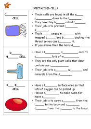 We did not find results for: Specialised Cells Ppt And Differentiated Activity Teaching Resources