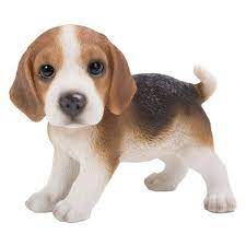 Bellacor's selection of lighting, furniture and home decor helps you easily create a home for making memories with loved ones. Pacific Giftware Beagle Puppy Dog Standing Figurine 5 7 Inch Buy Online In Andorra At Andorra Desertcart Com Productid 204471429
