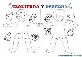 Resultado de imagen de LATERALIDAD EN LOS NIÃ‘OS DERECHA E IZQUIERDA