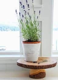 11 Ways To Decorate With Lavender Flowers Lolly Jane Terracotta Flower Pots Diy Planters Clay Pots