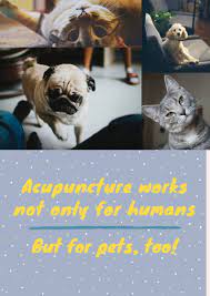 Do you need a license to be an acupuncturist? How To Become An Acupuncturist In Texas Arxiusarquitectura