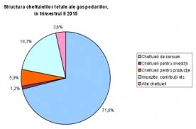 Parlamentul a decis modificarea legii bugetului de stat. Romanii JupuiÅ£i De Stat FÄrÄ SÄ Stie Taxele AtarnÄ Mai Greu In Bugetul Familiei In 2015
