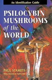 Image result for Psilocybin