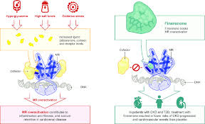 Image result for Finerenone