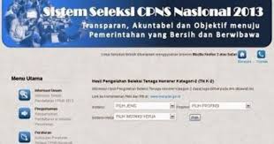 Inilah Daftar Kelulusan Honorer K2 Pemerintah Pembersihan