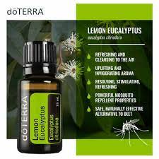 Lemon eucalyptus essential oil is derived from a lemon scented blue gum eucalypti plant, a tall tree with smooth bark. 30 Off Doterra Lemon Eucalyptus 15ml Fresh Energise Essential Oil Aromatherapy Ebay