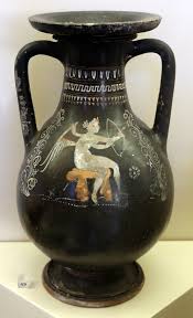 Image result for Dignathia