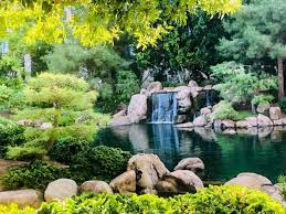 Maybe you would like to learn more about one of these? 25 Best Things To Do In Phoenix From A Local My Flying Leap