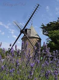 Douceur D Ete Moulin De L Ile De Re Charente Maritime Tourisme Charentemaritime Iledere Moulin Paysage France Ile De Re France Moulin A Vent