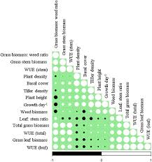 Image result for Tragus koelerioides